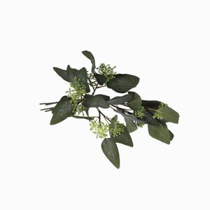 Racimo Eucalipto Otoño