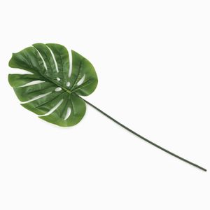 Hoja Monstera