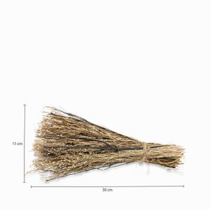 Racimo coco nucifera