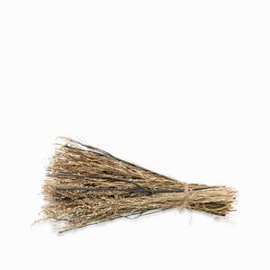 Racimo coco nucifera