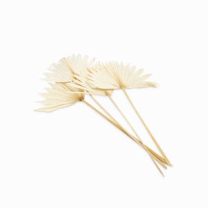 Hoja de palma blanquiada