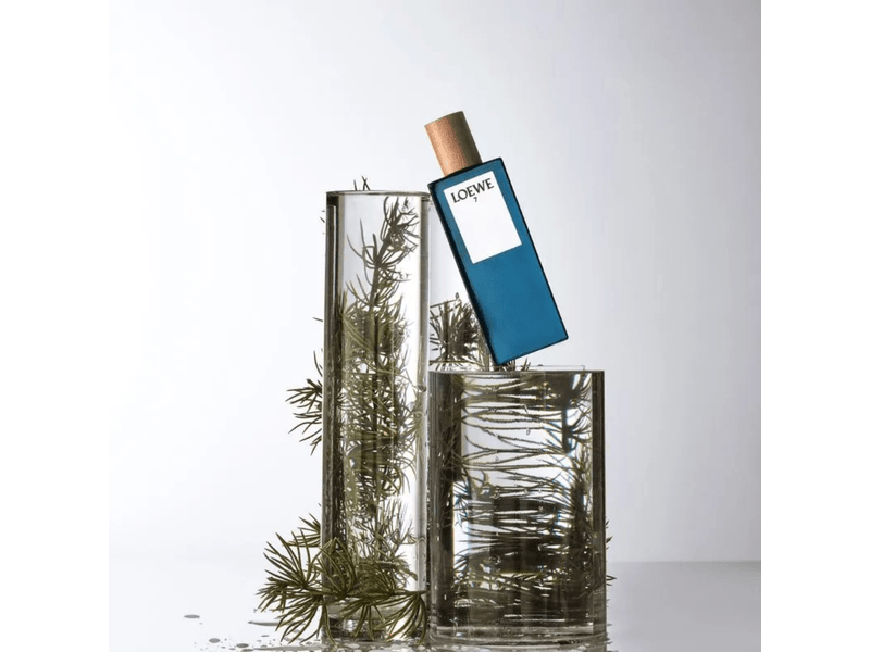 Perfume Siete Loewe 100 ml Hombre