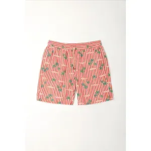 Pantaloneta de baño con forro interno estampada para niño