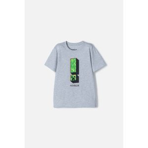 Camiseta de Minecraft gris manga corta para niño