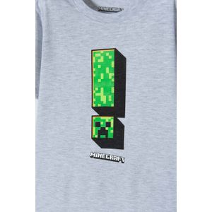 Camiseta de Minecraft gris manga corta para niño