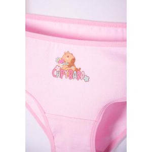 Pack X2 panties de Capybara rosa y blanco para niña