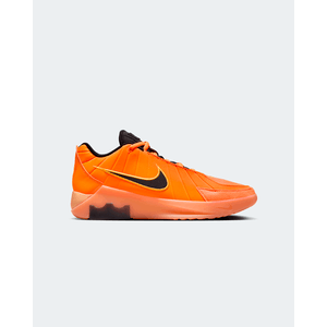 NIKE LEBRON WITNESS IX