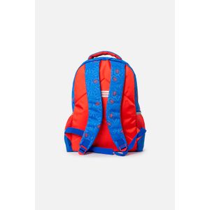Morral de Spider-man 16.5" azul y rojo para niño