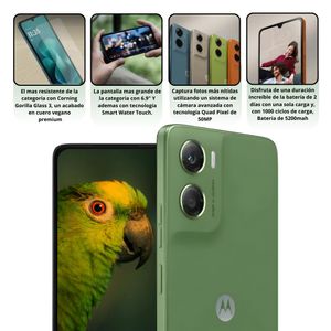 Celular MOTOROLA G06 4G 256GB/4GB – Verde