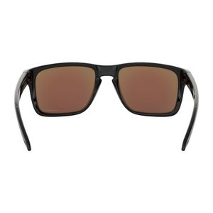 Gafas Oakley Holbrook XL
