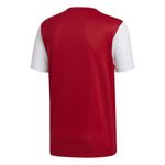 CAMISETA-ADIDAS-PERFORMANCE-HOMBRE-ESTRO-19-JSY