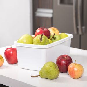 Recipiente Rectangular para congelacion 4L
