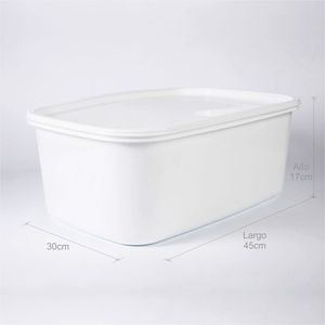 Recipiente Rectangular para congelacion 16L