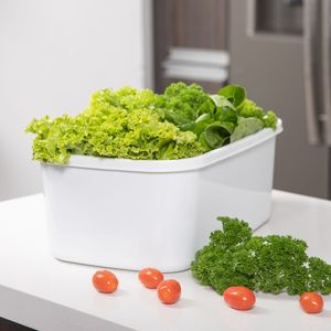 Recipiente Rectangular para congelacion 8L