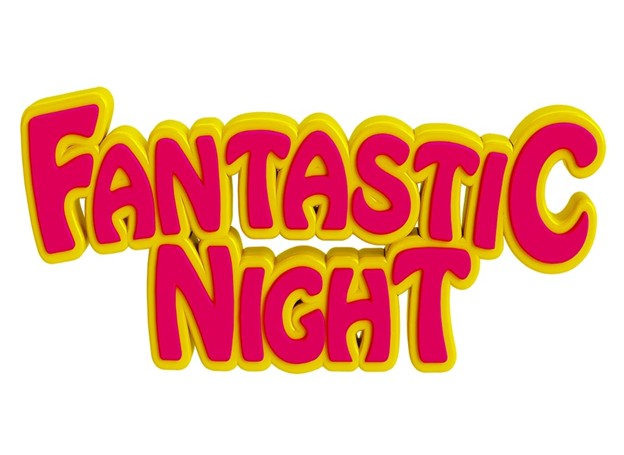 Fantanstic Night
