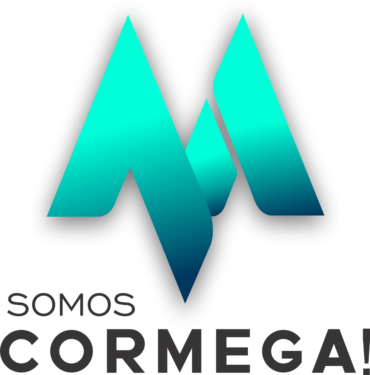 Megaccesorios